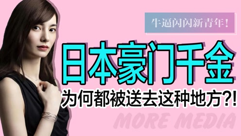 丰田家族联姻|揭秘财阀太子妃与天海佑希的养成