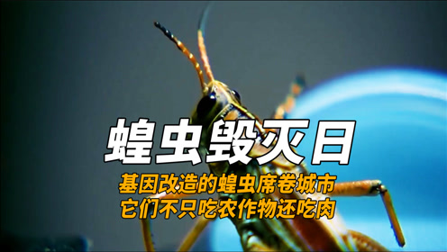 [图]基因改造的蝗虫席卷城市 它们不只吃农作物还吃肉《蝗虫毁灭日》