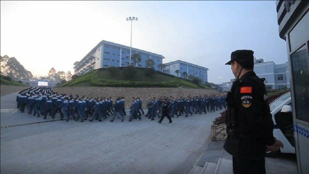 高墙内的世界!"你是谁?为什么来这里?"官方带你了解监狱生活