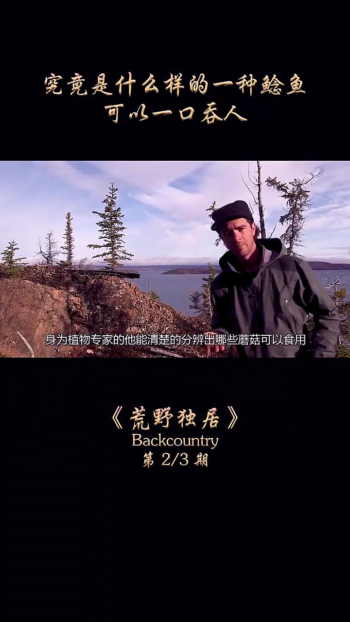 荒野求生,给你百万美金,让你在北极生存100天,你做得到嘛  2