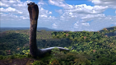 0:11:56简 介:影片讲述了利欲熏心的地产商为了开发蛇王岛,重金收买以