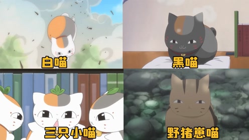 腾讯视频