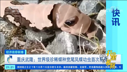 腾讯视频