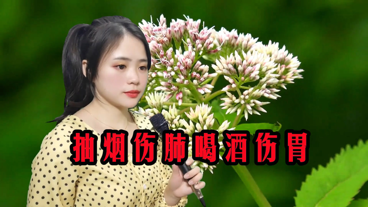 一首《抽烟伤肺喝酒伤胃》唱得撕心裂肺,听哭了多少有情人