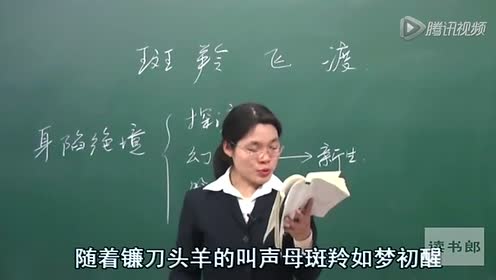 七年级语文下册27 斑羚飞渡(沈石溪)