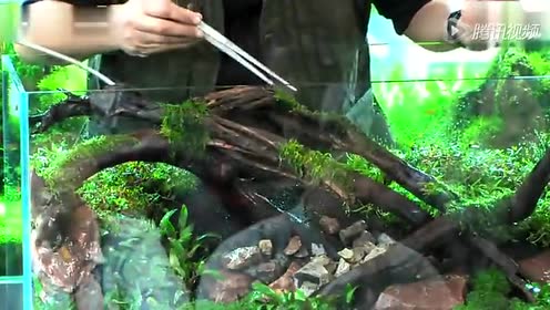 腾讯视频