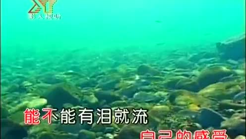 翻唱歌曲卡拉ok风景画面mv失恋歌迷党park Sung 2bneey C 王心凌 的歌翻唱 腾讯视频