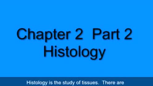 05 Histology