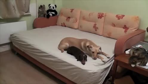 腾讯视频