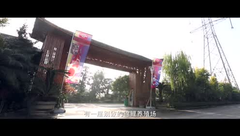 腾讯视频
