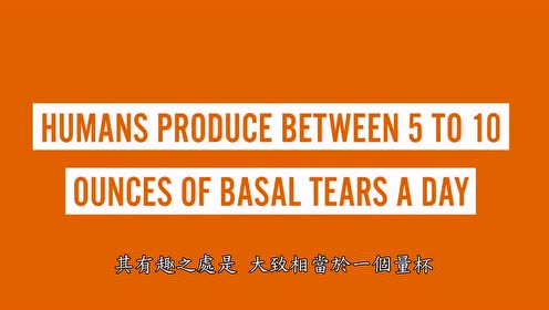 為什麼人會流淚(中文字幕)