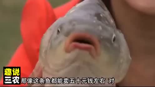 腾讯视频