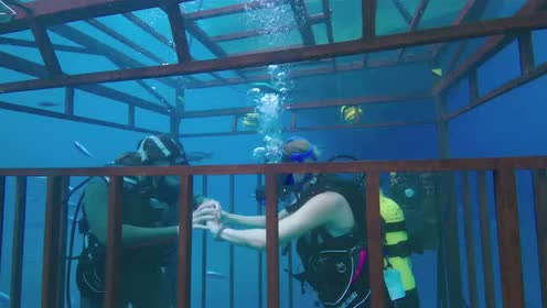 鲨海47 深海逃生 腾讯视频