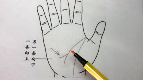 智慧线分叉,说明能够赚钱,属于最旺财的手相之一,财富积累特别快