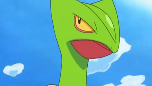 神奇宝贝——森林蜥蜴失恋了,进化为蜥蜴王