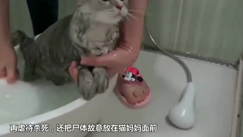 腾讯视频