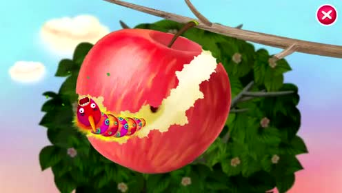 亲子动物学习:毛毛虫子吃苹果