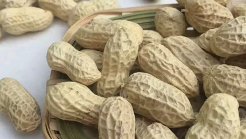 万里望花生 腾讯视频