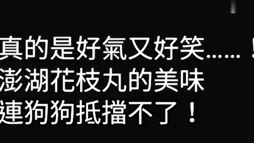 花枝丸篇 腾讯视频