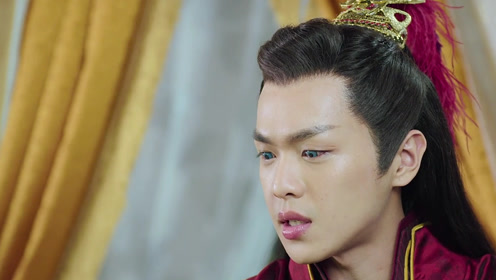 原来风刃做了这么多都是为了风天逸