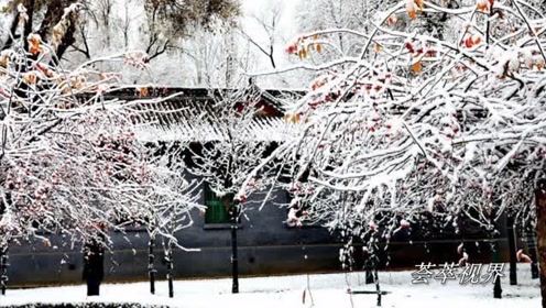 下雪大雪北方爱情恋爱 腾讯视频