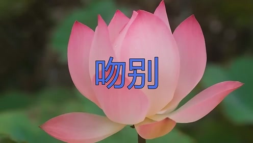 这首《吻别》真是经典不衰,好听到爆!