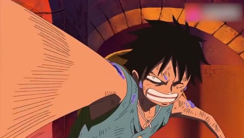 海贼王:路飞身中剧毒神志不清,还依然想要打到麦哲伦,好心疼