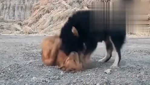 腾讯视频