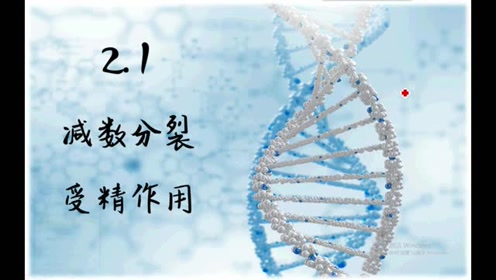 高中生物必修二《遗传与进化》2.1 减数分裂和受精作用