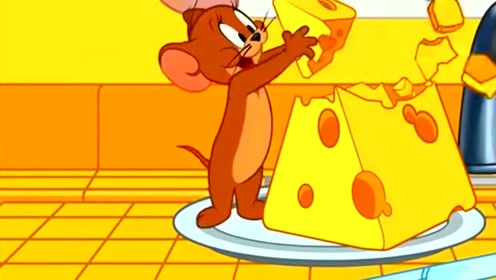 新猫和老鼠,这是杰瑞的奶酪,小小的苍蝇也来跟小老鼠抢美食!