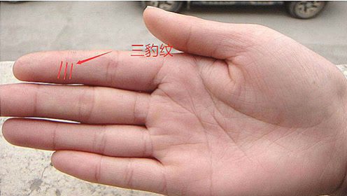 手相中有三豹纹的人,一生福气满满,注定富贵多金