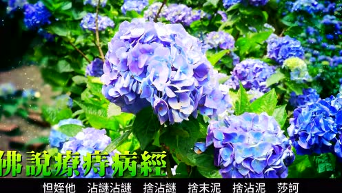 佛說療痔病經 腾讯视频
