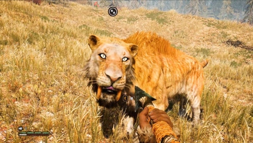 彩虹六号:队友这手雷是怎么丢的?