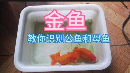 腾讯视频
