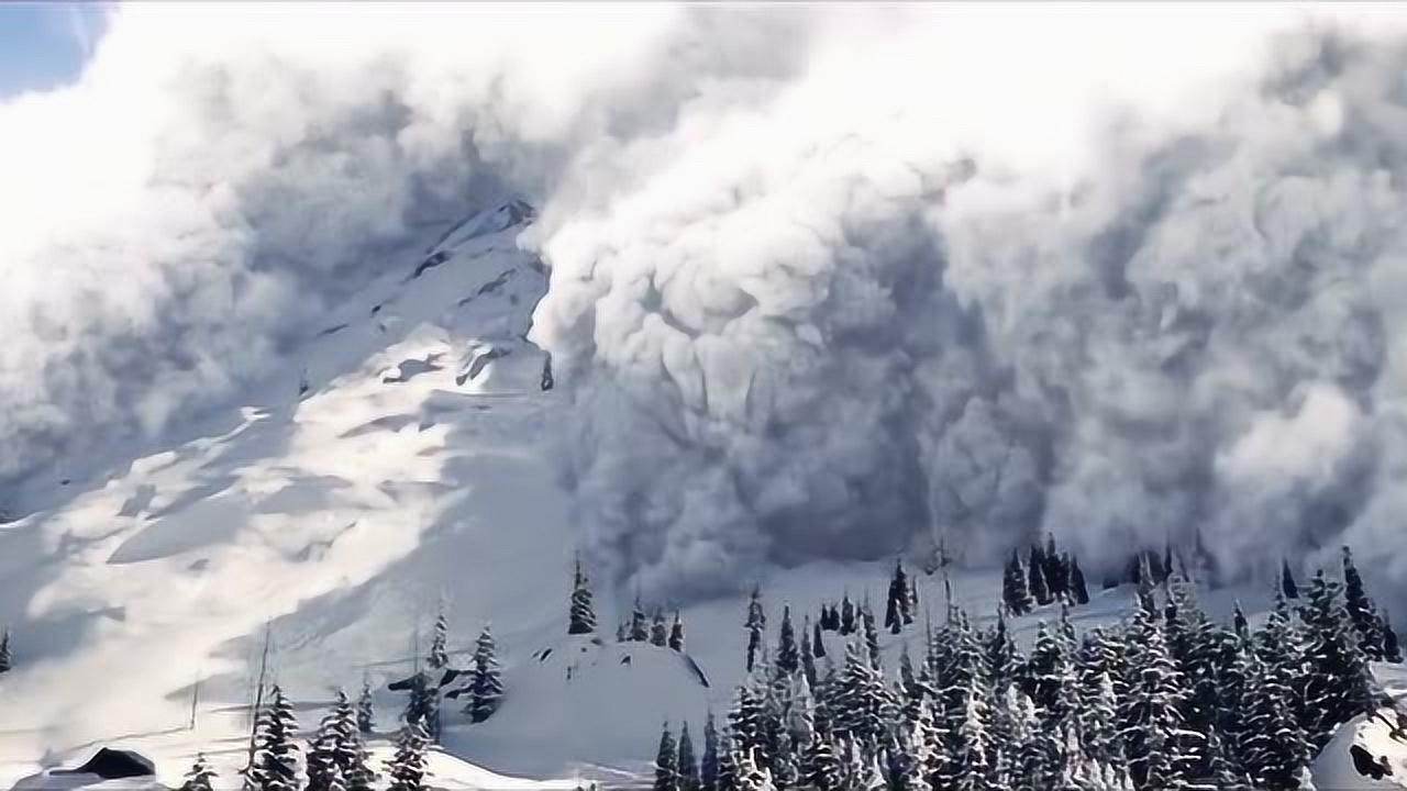 野性的呼唤--巴克根据自己的直觉,躲过雪崩