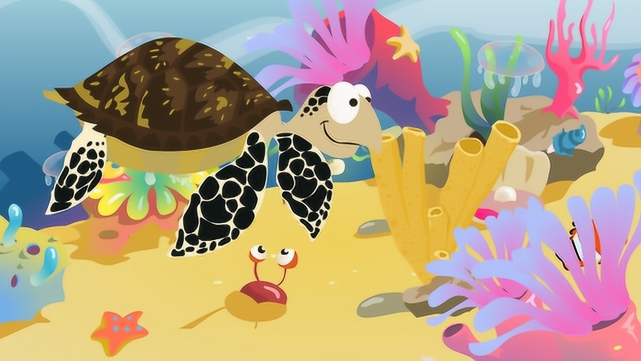 能消化玻璃的玳瑁海龟已经濒临灭绝了,我们应该拒绝海龟制品