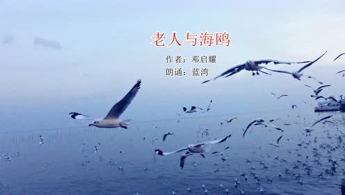 S版五年级语文下册9 老人与海鸥(邓启耀)