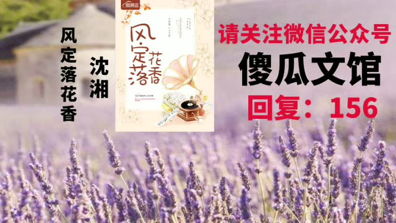 风定落花香沈湘陆励行正当时免费阅读