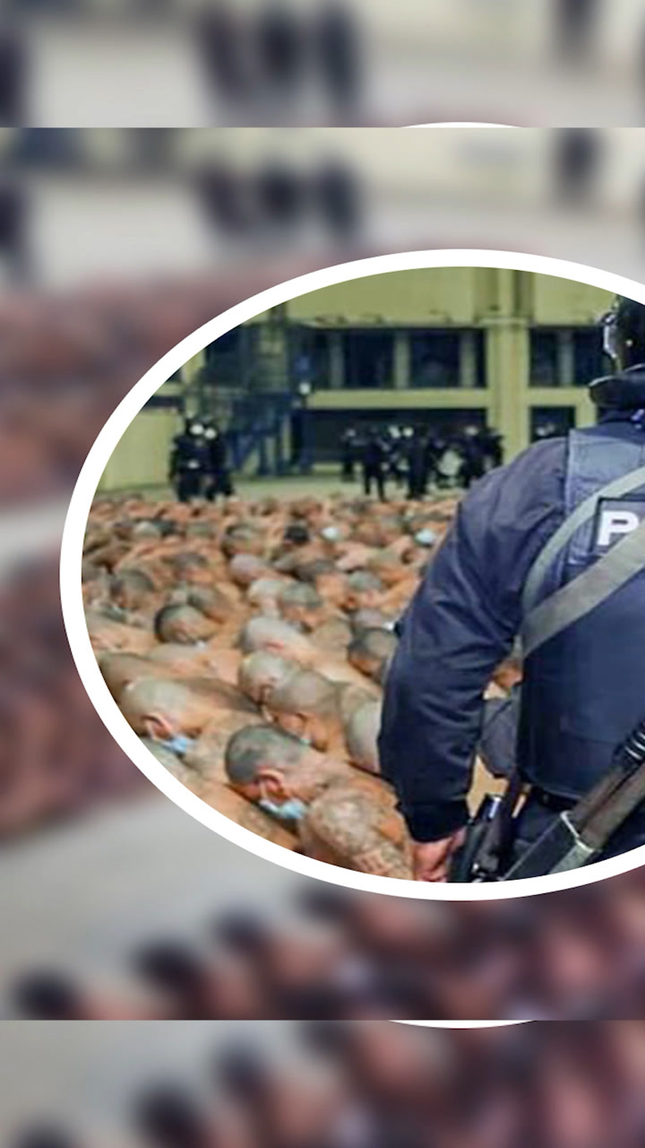 世上最恐怖的监狱,由黑帮犯人统治,就连狱警都不敢轻易靠近!