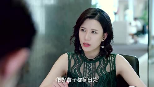 小鲜肉靠着女老板的扶持一路坐上了陆总,却怀念着初恋