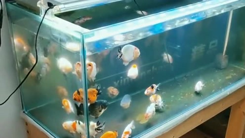 腾讯视频