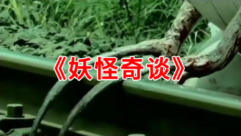 日本电影《妖怪奇谈》,妹子的指甲越长越长,最后用铁轨剪指甲
