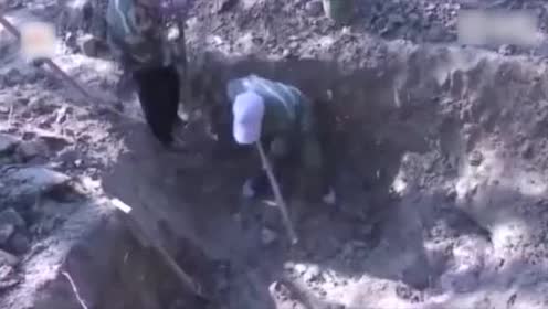 白蚁卵 腾讯视频