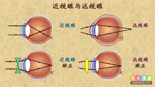 北师大版八年级物理上册第五章 光现象