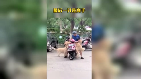 摩托超载 腾讯视频