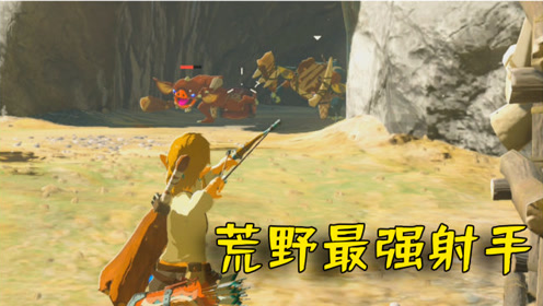 塞尔达传说 Botw 腾讯视频