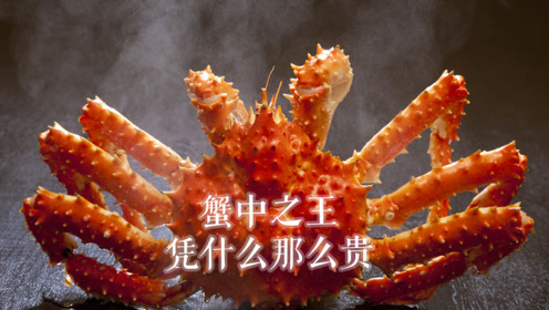 蟹中之王,每次产子一万只,为什么还那么贵