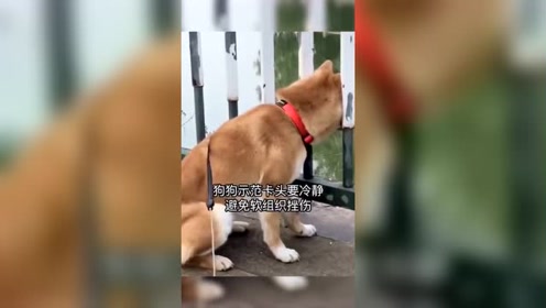 部位被卡住 腾讯视频