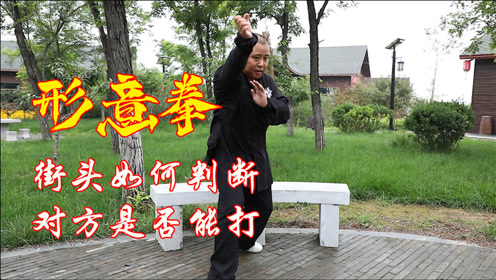 练家子出身 腾讯视频