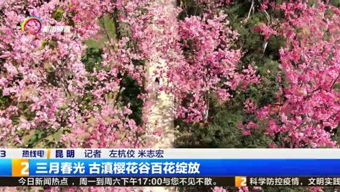 隅谷百花 腾讯视频